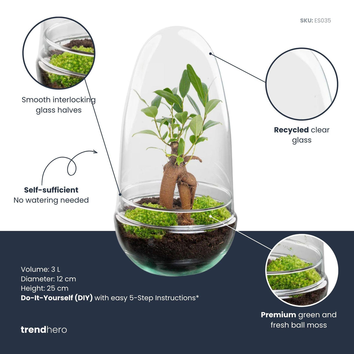 Detailfoto van DIY Planten terrarium tweedelig bolglas - Egg Bonsai