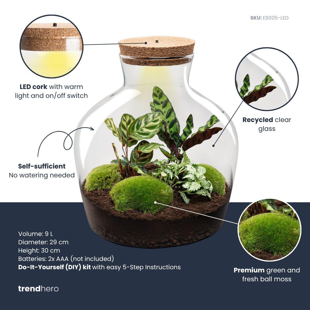 Detailfoto van DIY terrarium Fat Joe met licht, zonder gereedschap