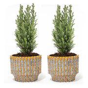Set van 2 - Kerstboom &