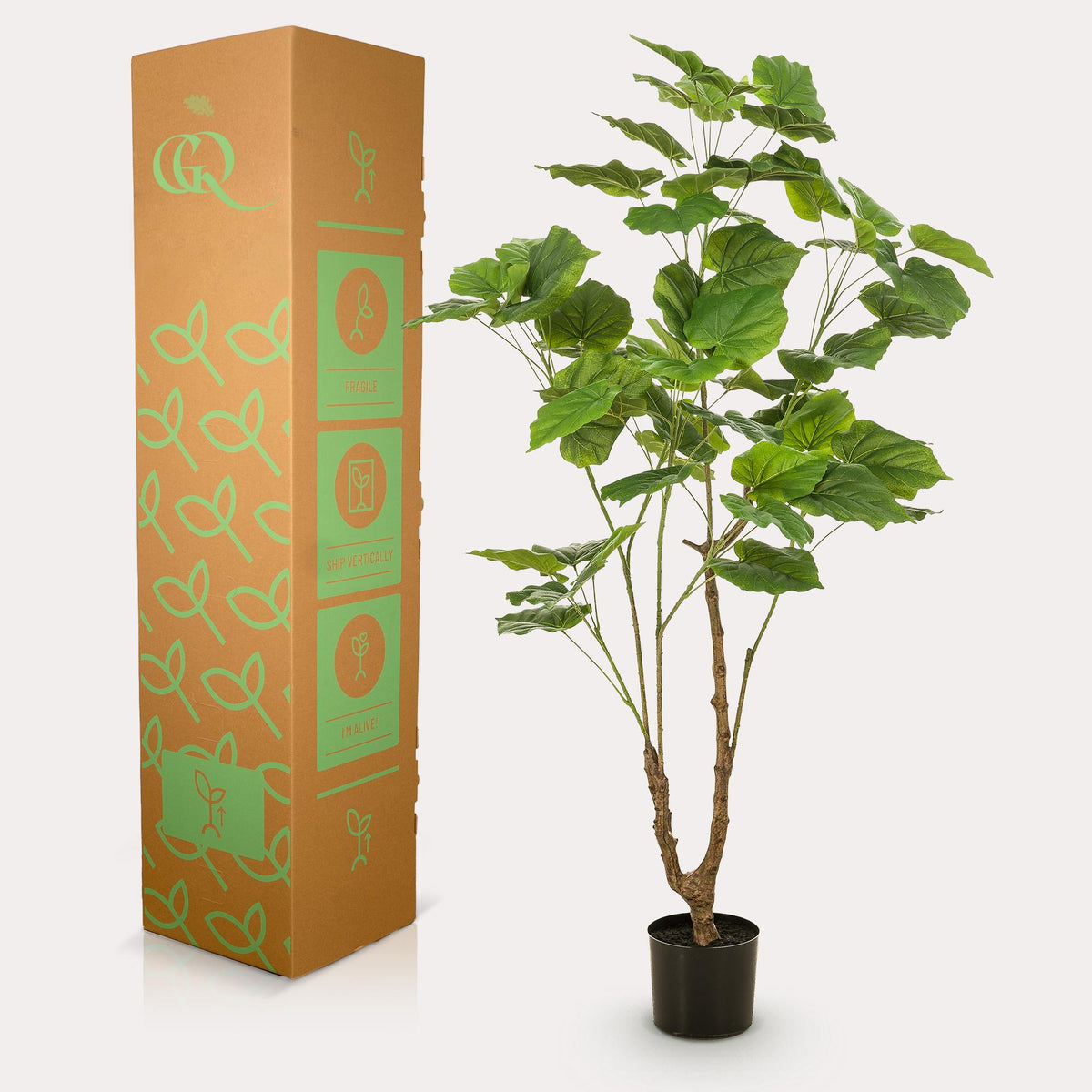 Kunstplant - Ficus umbellate - Afrikaanse vijg, groene bladeren