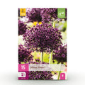 Allium Miami, kenmerkend blad