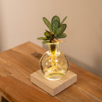 Productfoto van Calathea in Samoa glas met LED verlichting