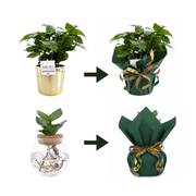 Cadeau-inpakservice met inpakpapier en decoratief lint