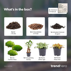 Productafbeelding van Pureplant