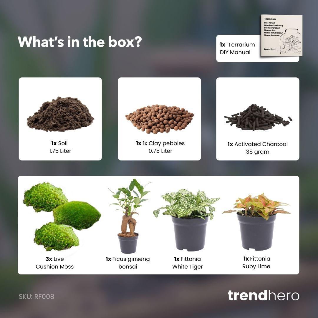 Productafbeelding van Pureplant