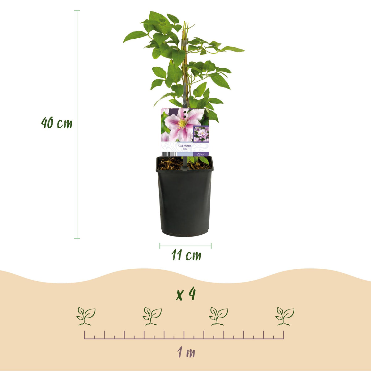 Productafbeelding van Pureplant