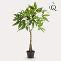 kunstplant - Pachira aquatica - Geldboom, plant in pot