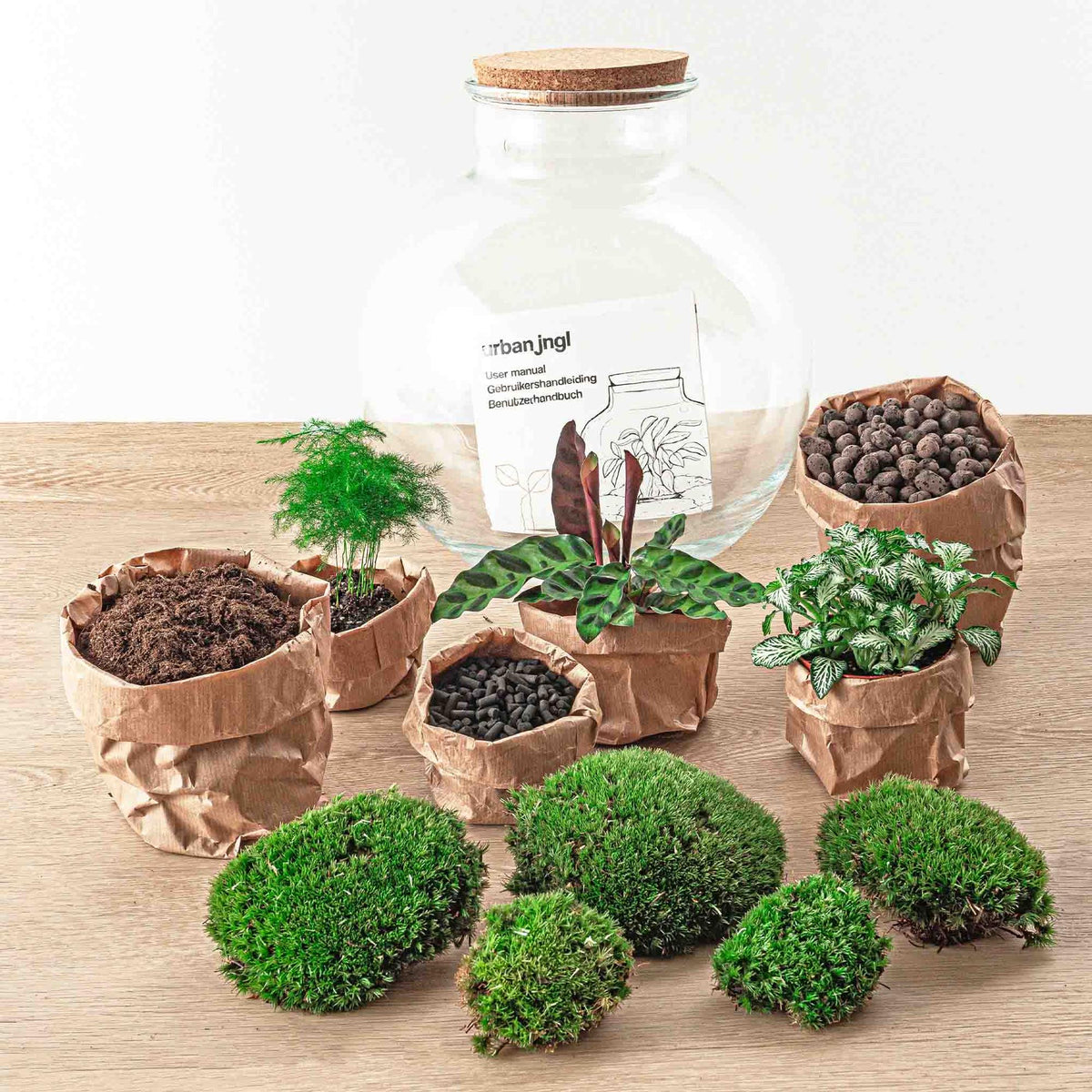 Detailfoto van DIY terrarium Bolder Bob met licht, compleet gereedschap