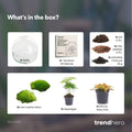 Productafbeelding van Pureplant