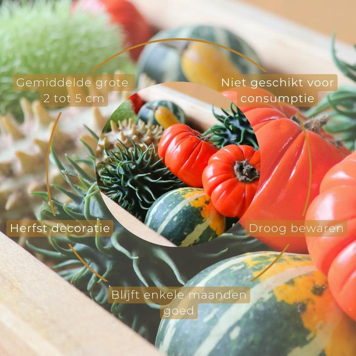 Decofruit Geschenkdoos 2