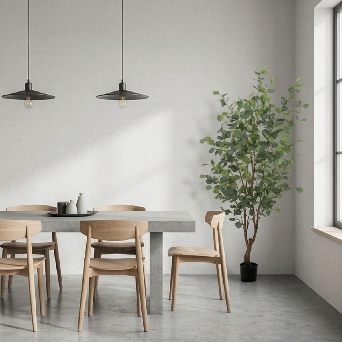 Eucalyptus boom, groene bladeren