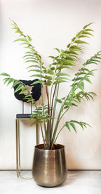 Productafbeelding van Pureplant