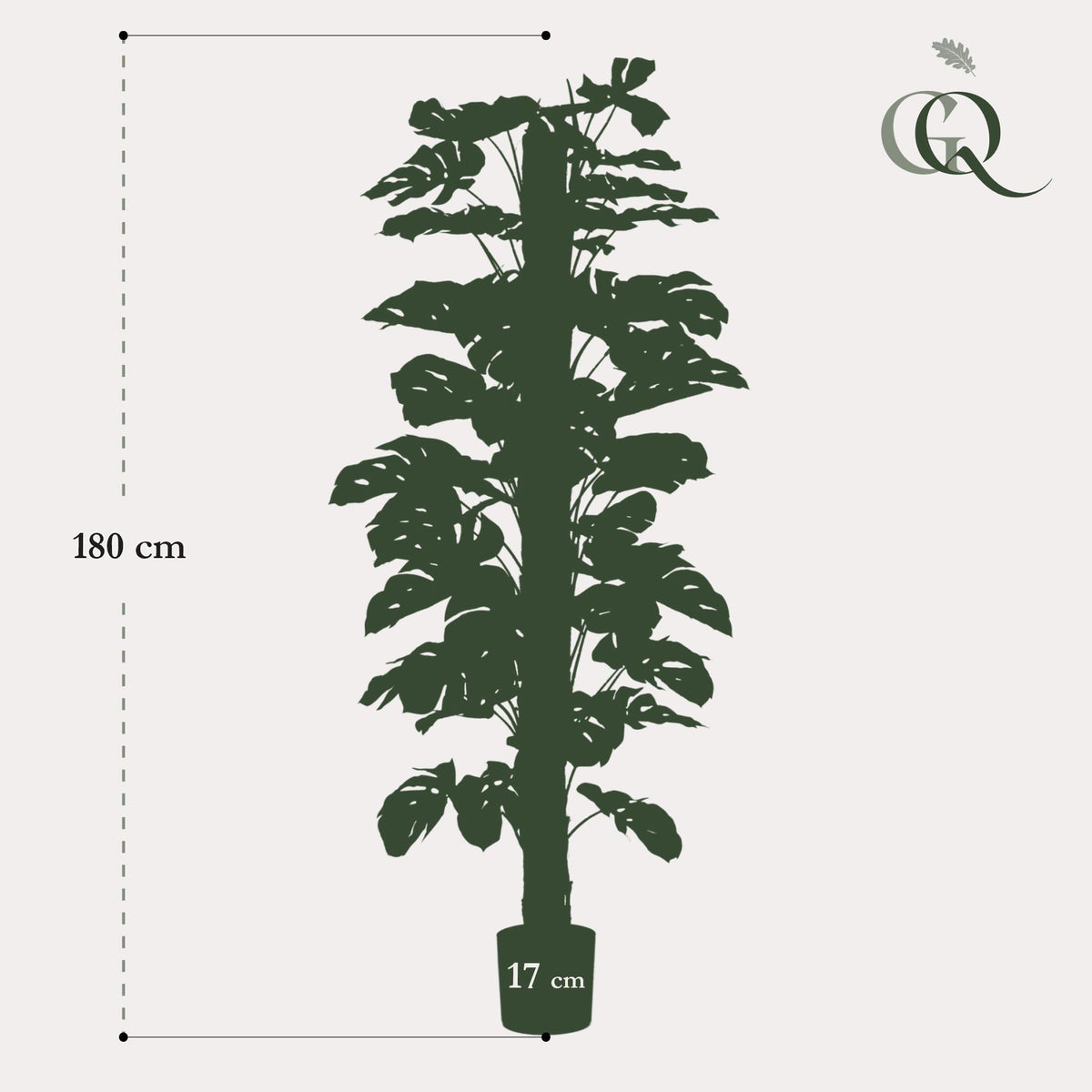 Productafbeelding van Pureplant
