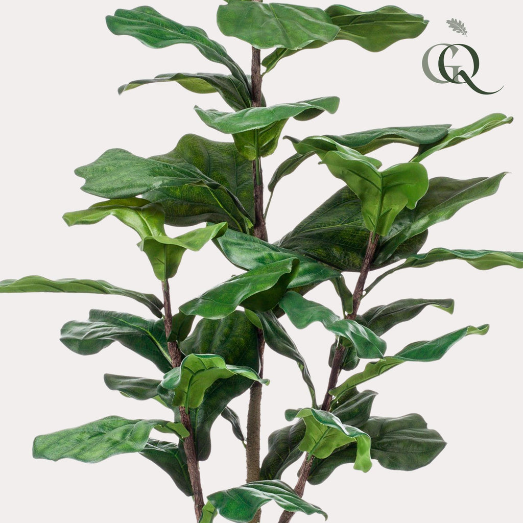 Productafbeelding van Pureplant