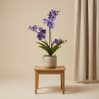 Orchidee Vanda kunstplant, groene bladeren