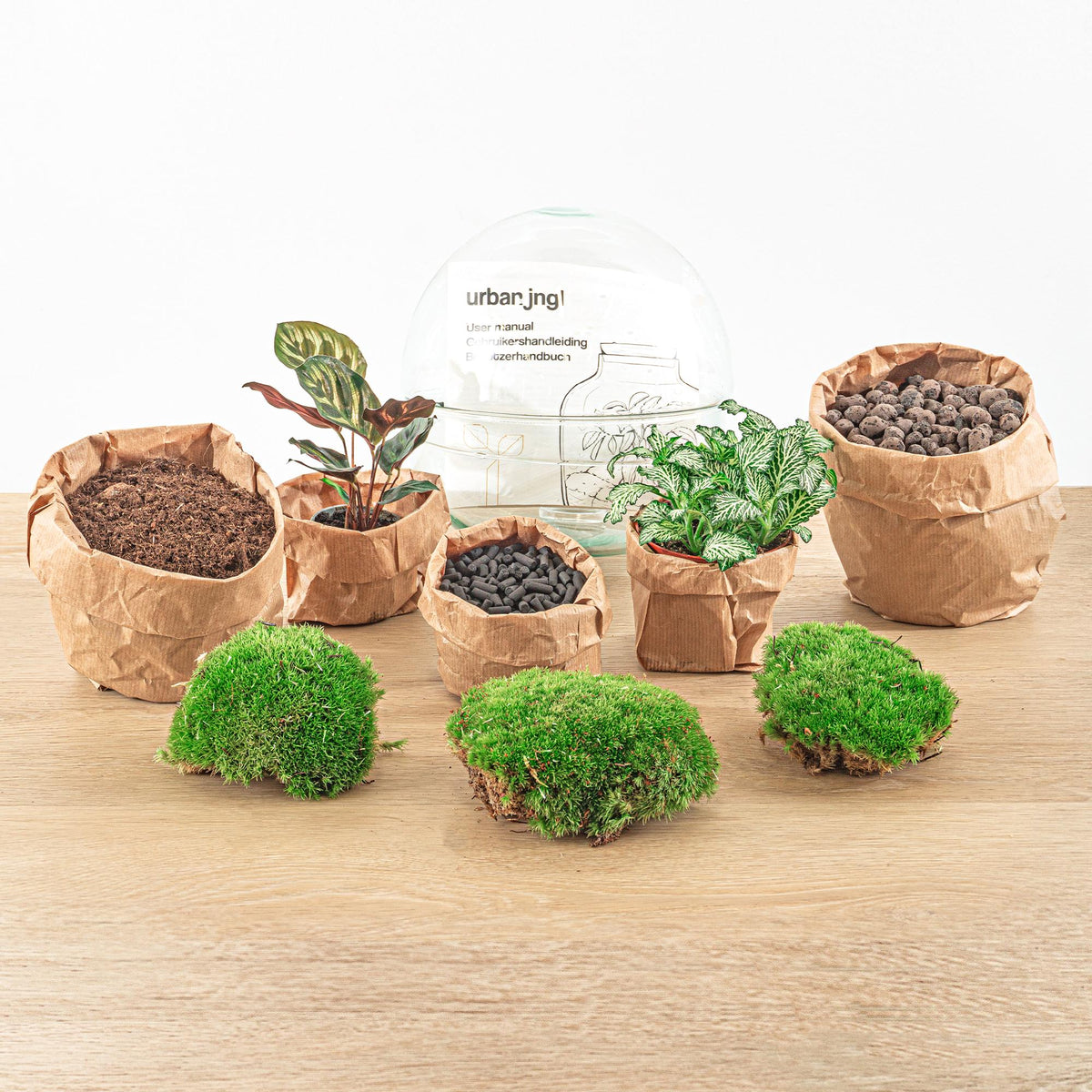 Detailfoto van DIY terrarium bolglas Dome, compleet gereedschap
