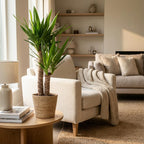 Yucca Elephantipes met Zeegras mand naturel, detail van het blad