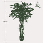 kunstplant - Ficus liana  - Vioolbladplant, kenmerkend blad