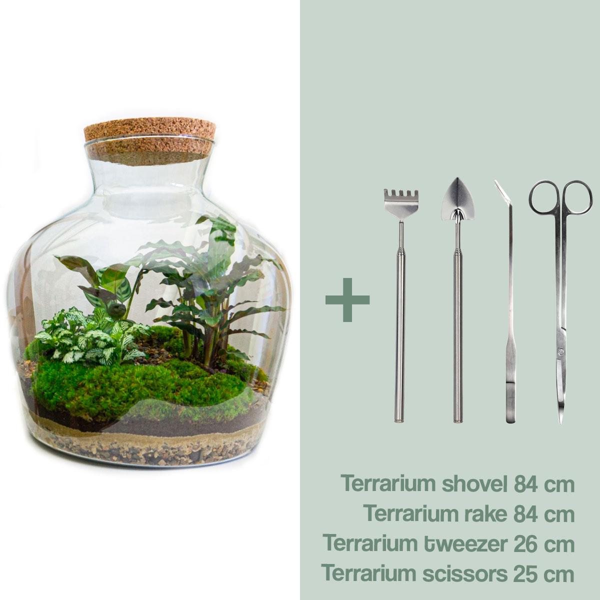 Detailfoto van DIY terrarium Fat Joe met licht, compleet gereedschap