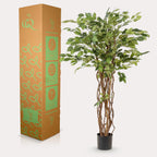 kunstplant - Ficus liana  - Vioolbladplant, groene bladeren