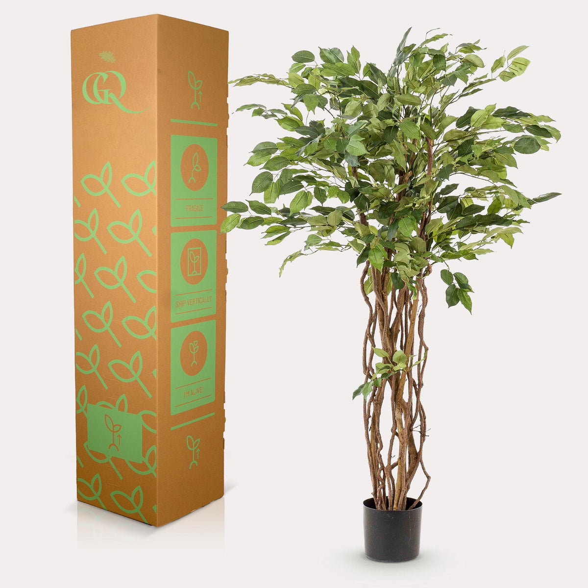 kunstplant - Ficus liana  - Vioolbladplant, groene bladeren