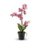 Orchidee Vanda kunstplant, groene bladeren