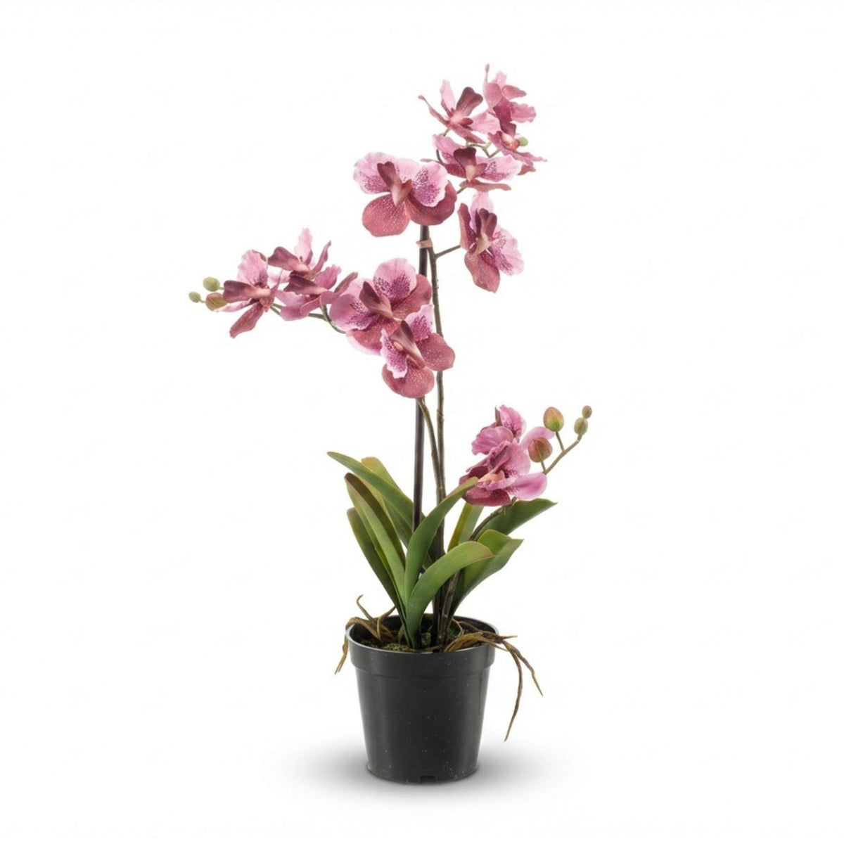 Orchidee Vanda kunstplant, groene bladeren