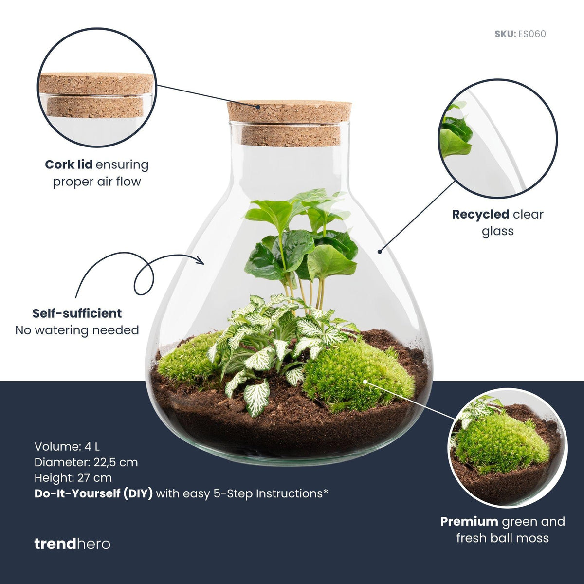 Detailfoto van DIY Planten terrarium - Sammie Coffea White