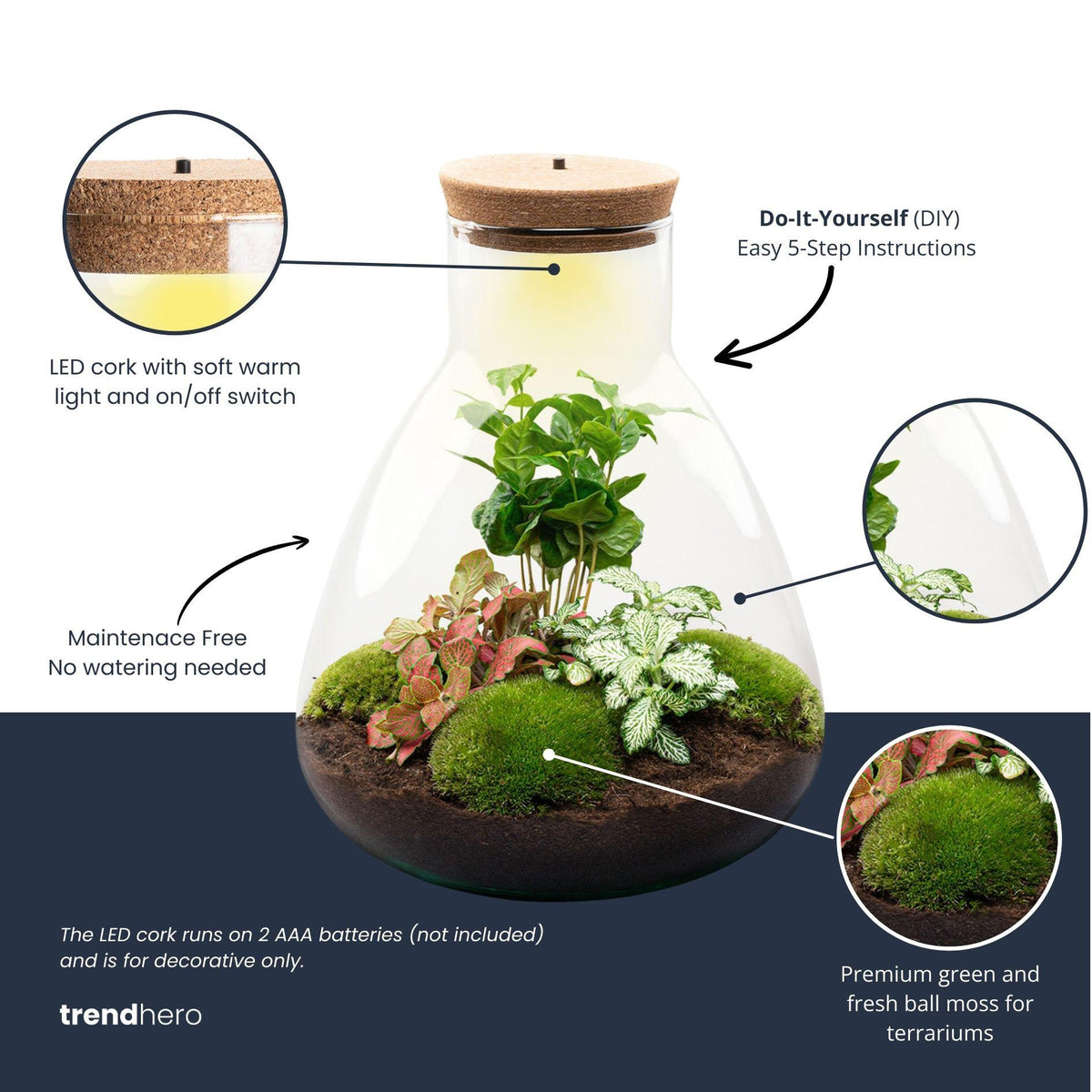 Productafbeelding van Pureplant