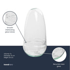 Terrarium bolglas tweedelig - Egg, kenmerkend blad