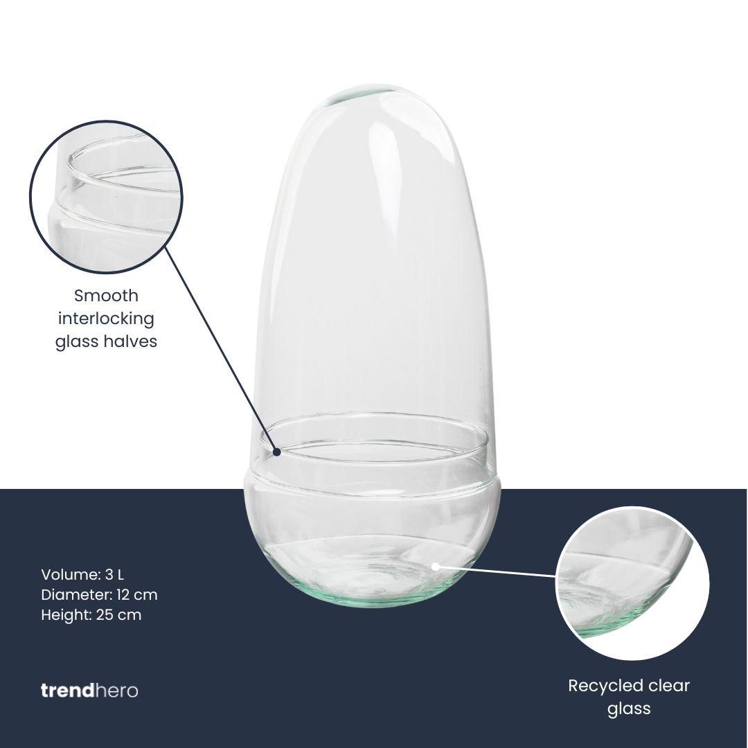 Terrarium bolglas tweedelig - Egg, kenmerkend blad