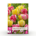 Tulp Foxtrot mix, detail van het blad