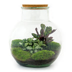 Detailfoto van DIY terrarium Teddy met licht, hark en schep