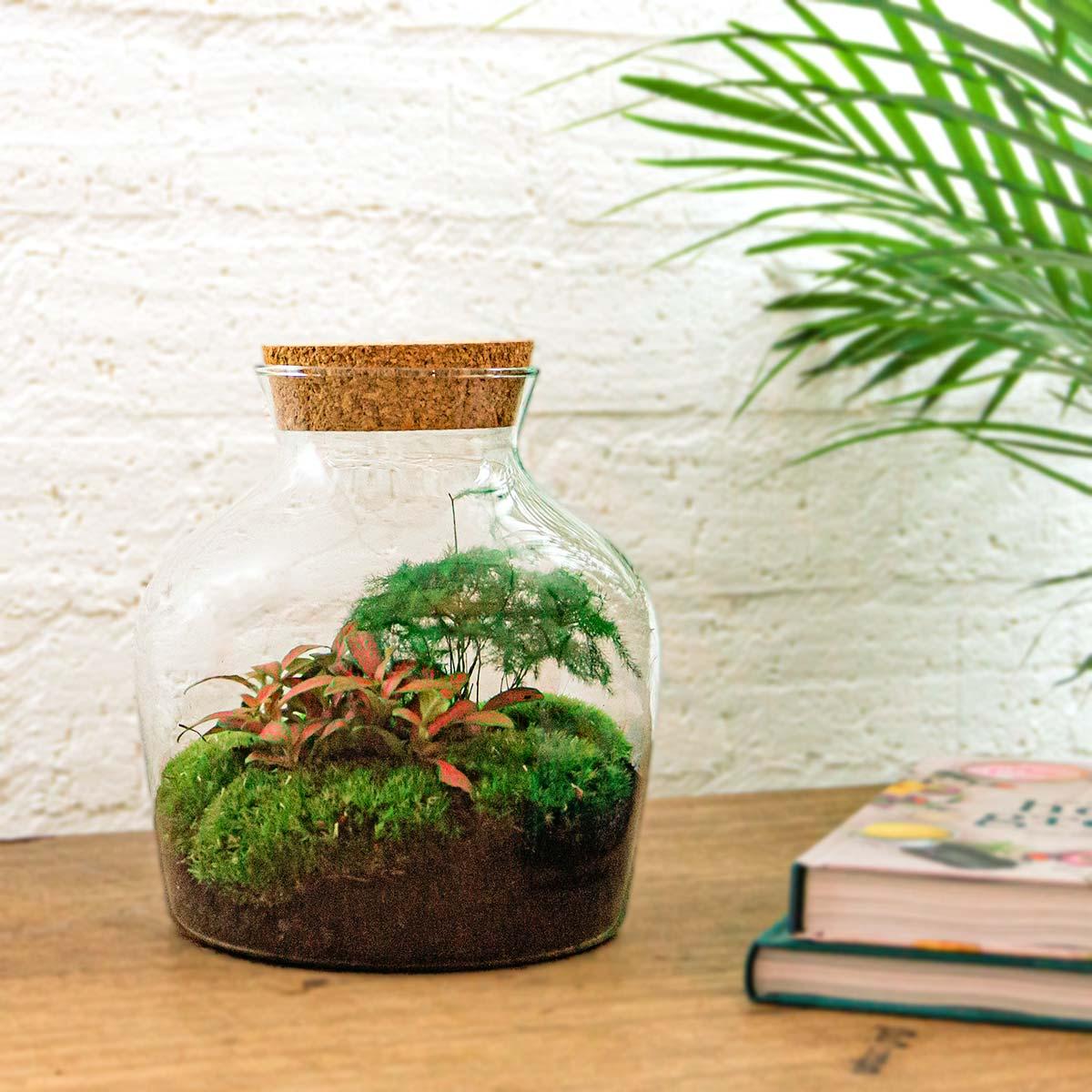 Productfoto van DIY terrarium - Little Joe - Met hark en schep