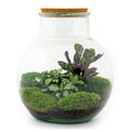 Detailfoto van DIY terrarium Teddy met licht, hark, schep, pincet