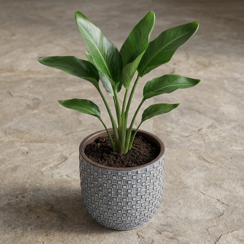 Mini plantenpot met reliëf, keramiek in blauw, Ø7 cm, plant in pot