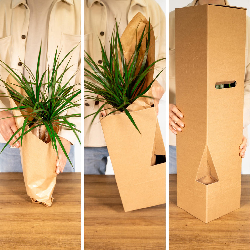 Productafbeelding van Pureplant