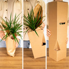 Productafbeelding van Pureplant