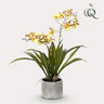 Kunstplant - Orchidee - Geel