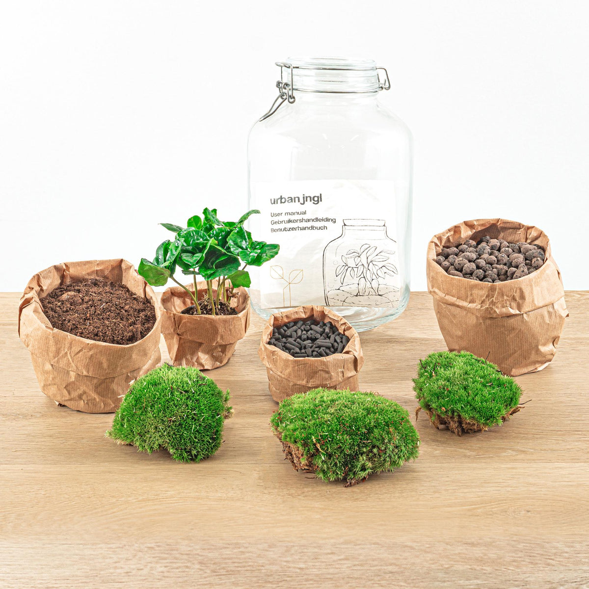 Detailfoto van DIY terrarium - Jar - Coffea Arabica - Met hark en schep