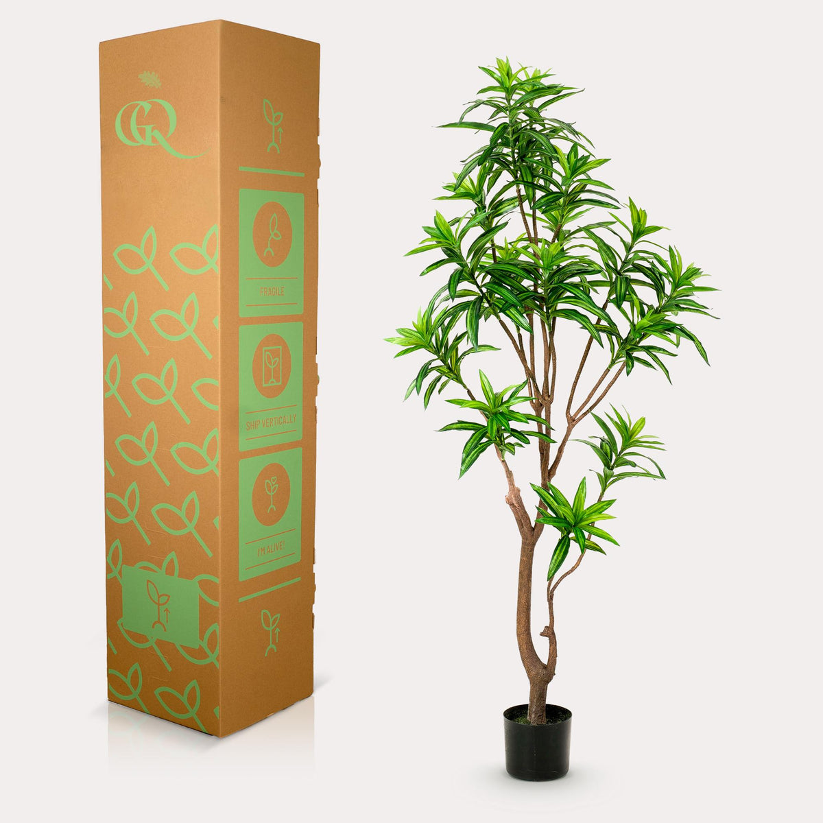 Productafbeelding van Pureplant