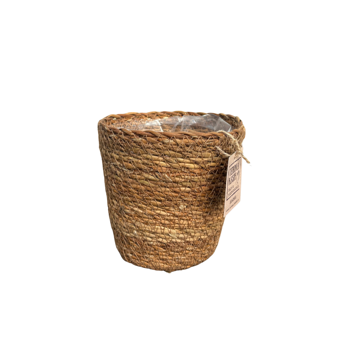 Zeegras Mand Potmaat 12, plant in pot