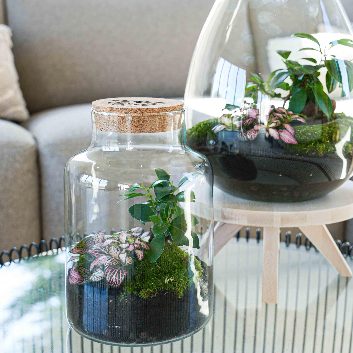 Terrarium Little Milky 'Love Mom', gegraveerde kurk en licht, groene bladeren