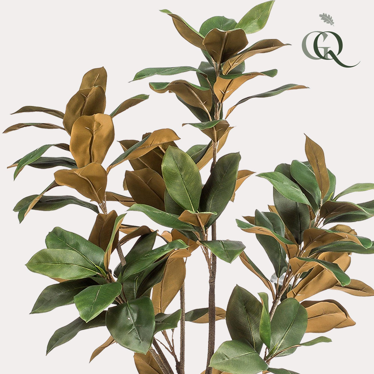 Kunstplant - Magnolia Grandiflora, kenmerkend blad