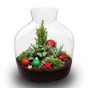 Holly Christmas terrarium - Bottle garden DIY kit