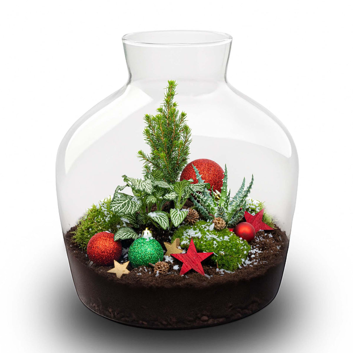 Holly Christmas terrarium - Bottle garden DIY kit, detail van het blad