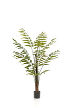 Productafbeelding van Pureplant