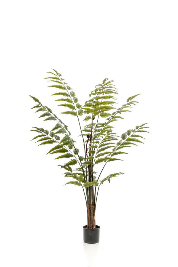 Kunstplant Rumohra adiantiformis, ledervaren, 150 cm