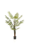 Kunstplant Rumohra adiantiformis, ledervaren, 150 cm