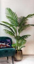 Kunstplant - Howea Forsteriana, gezonde plant
